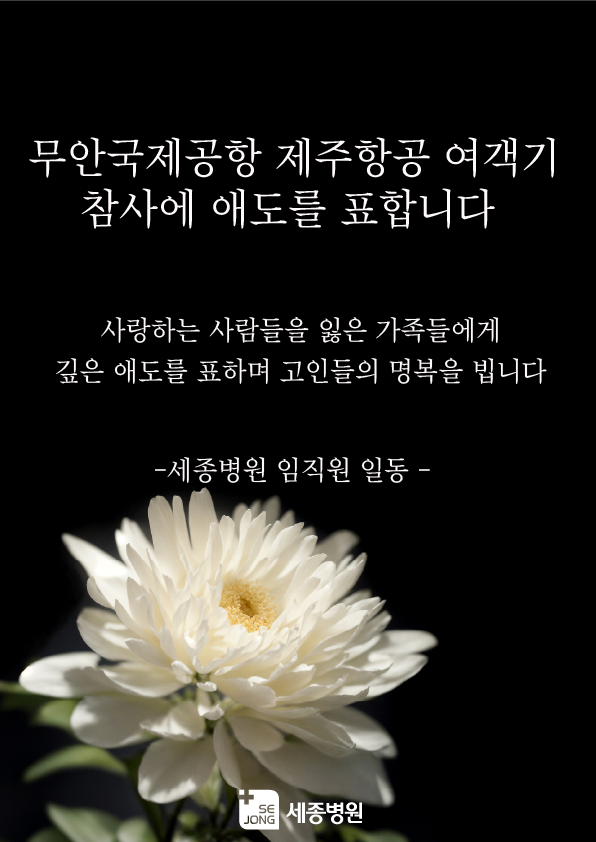 20241230_무안국제공항참사.png