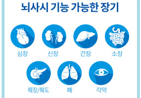 뇌사시기증장기.jpg